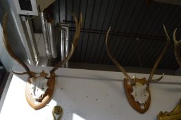 A set of three pairs of deer antlers on shield shaped plaques together with another half antler.
