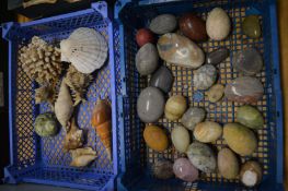 Hard stone eggs and shells etc.