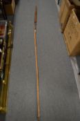 A spear.