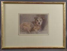 NEIL FORSTER (1940-2016) 'Chippo' terrier dog, pastel, signed, Chris Beetles Gallery label, 7.25