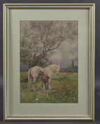 LATE 19TH / EARLY 20TH CENTURY Horses and foal in a pasture, watercolour, initialled F.T. 13.25