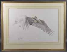 20TH CENTURY SCHOOL Bird in flight, watercolour, indistinctly signed, 18