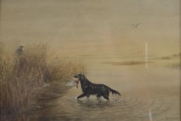 JAMES CHARLES PARK (1858-1938) Retriever with Mallard and wildfowler in the reed beds,
