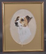 ENGLISH SCHOOL (LATE 20TH CENTURY) Study of a Jack Russell terrier, watercolour and gouache, oval