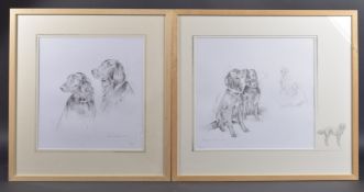 SALLI YOUNG (CONTEMPORARY) Two studies of setter hounds 'Minky and Max' pencil, signed and dated