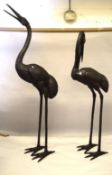 A MASSIVE PAIR OF BRONZE CRANES. 7ft high.