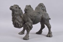 A BRONZE CAMEL. 13ins high.