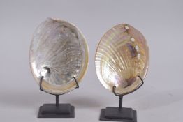 TWO MOTHER-OF-PEARL SHELLS on stand. 7ins high.
