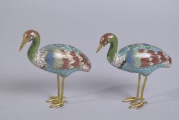 A PAIR OF CHINESE CLOISONNE ENAMELLED CRANES.