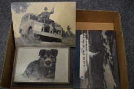 Three small oil paintings.