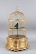 A VERY GOOD 19TH CENTURY SINGING BIRD in a gilded metal case, on a gilded wooden base. 20ins high
