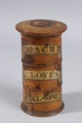 A 19TH CENTURY THREE TIER CIRCULAR SPICE TOWER, MACE, CLOVES AND ALLSPICE. 5.5ins high.