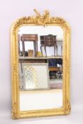 A LOUIS XVITH STYLE GILTWOOD MIRROR with musical trophies. 5ft high x 2ft 7ins wide.