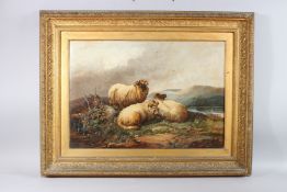 19TH CENTURY ENGLISH SCHOOL. Sheep resting on a mountainous river landscape. Oil on canvas, in a
