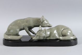A FRENCH PORCELAIN GROUP OF TWO FOXES on a black porcelain base. 18.5ins long x 6.5ins wide x 7ins