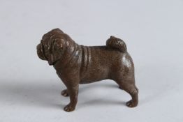 A BRONZE PUG DOG. 2.75ins high.