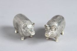 PIG SALT AND PEPPERS.