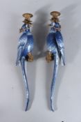 A GOOD PAIR OF BLUE PORCELAIN PARROT WALL SCONCES with gilt metal sconces. 18ins high.