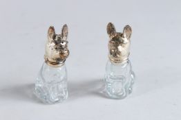 A SMALL PAIR OF SILVER PLATE AND GLASS DOG SALT AND PEPPERS. 3ins high.