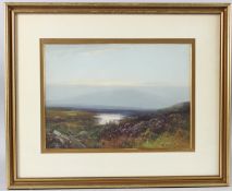 FREDERICK JOHN WIDGERY (1861-1942) Moorland view with heather, reverse inscribed 'Stepperton Tor,