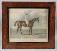 AFTER HERRING 'Touchstone The winner of the Great St Leger Stakes at Doncaster 1834' colour