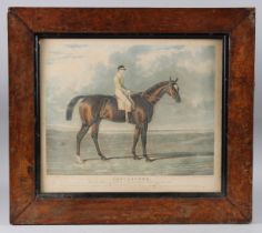 AFTER HERRING 'Touchstone The winner of the Great St Leger Stakes at Doncaster 1834' colour