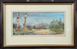 RAYMOND DAVIES (20TH CENTURY) 'Autumn on Horsell Common, Surrey' watercolour, labels verso,