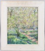 BRITISH SCHOOL (20TH CENTURY) Path through a bluebell wood, acrylic on board, signed indistinctly