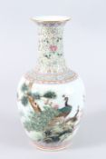 A CHINESE FAMILLE ROSE PORCELAIN BOTTLE VASE painted with peacocks, prunus trees and calligraphy,
