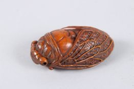 A CARVED WOOD CICADA FLY. 2.75ins.