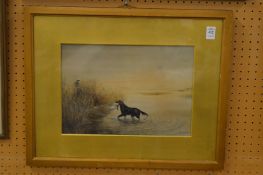 J C Park, Labrador retrieving a duck from a pond, watercolour, signed and dated 1911.
