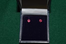 A pair of decorative ear studs.