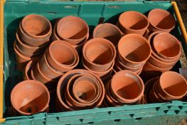 A collection of small terracotta plant pots.