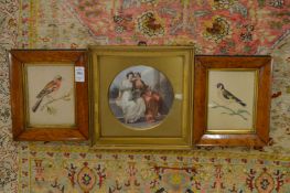 A pair of small late 19th century watercolours of birds in maple frames together with a small