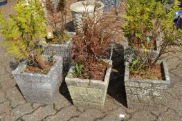 A set of six reconstituted stone square shaped planters containing ferns.