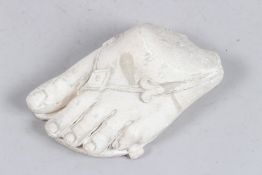 AFTER THE ANTIQUE A PLASTER ROMAN FOOT 6.5ins long