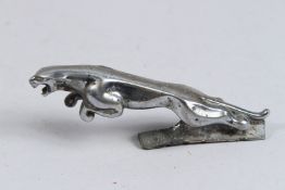 A JAGUAR CHROME CAR MASCOT. 6ins high.