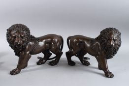 A PAIR OF BRONZE LIONS. 13ins long.