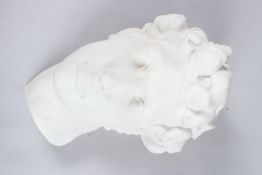AFTER THE ANTIQUE A PLASTER HEAD. 1ft 1ins long