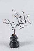 A BRANCH BLACK CORAL SPECIMEN on a wooden base.