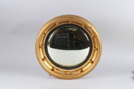 A SMALL REGENCY GILTWOOD CONVEX MIRROR. 1ft 2ins diameter