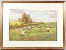 CYRIL WARD (1863-1935) sheep grazing on Downland pasture, watercolour, signed, 39cm x 59cm