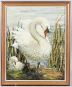 BETTE HARDINGE-SMITH swan aand cygnet, oil on canvas board, signed, artists label and inscribed '