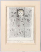 JOHN DOYLE (1797-1868) 'Taking an Airing in Hyde Park' The Duke of Wellington gazing through a