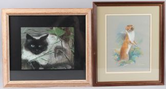 JOEL KIRK (20TH CENTURY) Study of a stoat, coloured crayons, signed, 28cm x 21.5cm and a crayon