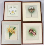 ENGLISH SCHOOL Four botanical studies of orchids, watercolours, 24cm x 21cm and slightly smaller