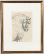 20TH CENTURY SCHOOL study of a horse pencil, 32cm x 22cm