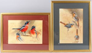 INGRID WEIERSBYE 'Cape Robin Studies' and 'Crimson Breasted Shrike Studies' watercolour and gouache,