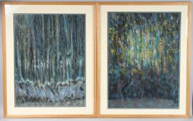 ROSE MILLER (20TH CENTURY) 'Le Rideau Pastels Mirage and illumination' pair of pastels, artists