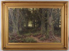 G. GIBBS (LATE 19TH / EARLY 20TH CENTURY) woodland view, oil on canvas, signed, 50cm x 75cm